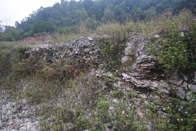 Nhiều lớp sò huyết xếp tầng thể hiện dấu tích của biển xưa kia tại Khu di chỉ khảo cổ học Cồn Điệp (ảnh Duy Ngợi).