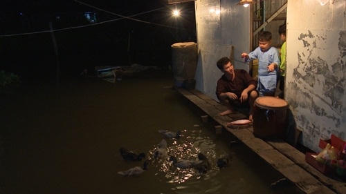 Xóm nhỏ lung linh vào buổi tối. Các bé cho vịt ăn.