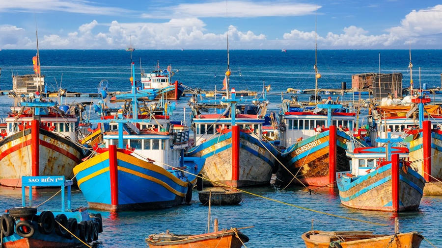 Sửa đổi một số quy định về xử phạt vi phạm hành chính trong lĩnh vực thủy sản. (Ảnh minh hoạ: baolamdong.vn)