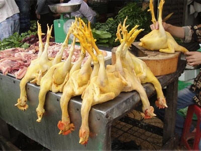 Vàng ô được sử dụng để tạo màu cho thực phẩm.