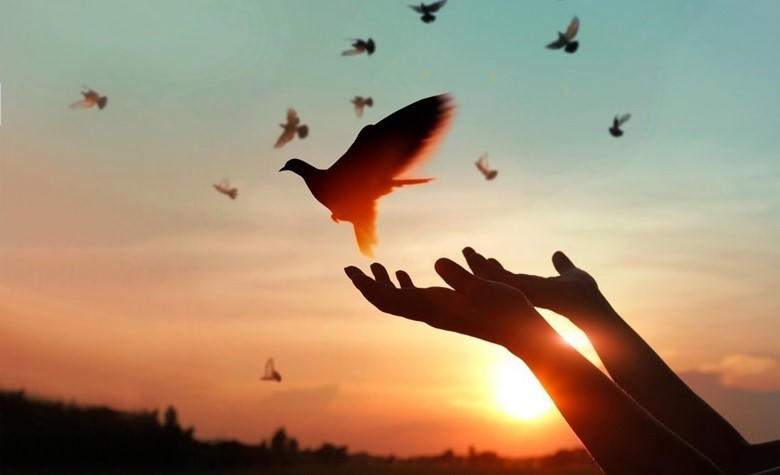 Học cách rộng lượng để có tâm hôn thanh thản: (Ảnh minh hoạ)