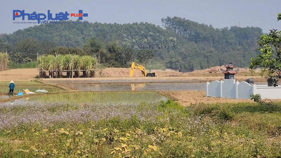 z4094866407128_ef300305c3909efbccf4caf0338550a7