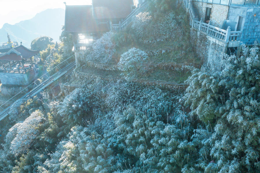 z5009950819251_041e0f3e6ef668f9df2dde608f7299b0