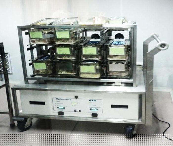 Chuột thí nghiệm được nuôi trong lồng có lỗ cấp và thoát khí qua màng lọc HEPA, không khí được lọc và có áp lực dương tính