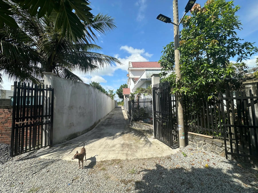 Cận cảnh phần đất tranh chấp, có chiều rộng 3m, dài khoảng 60m (ảnh: NVCC).