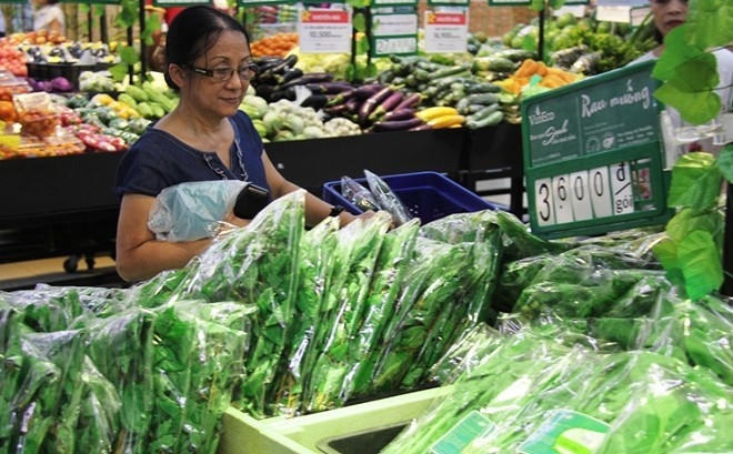 Nhiều nhà vườn tại TP HCM bị thu hồi chứng chỉ rau sạch VietGap. Ảnh minh họa: Sơn Trà