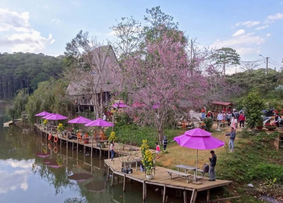 Screenshot_20221208-132058_Zalo