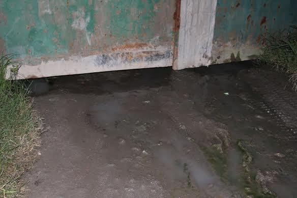 Nước thải được xả tràn lan.