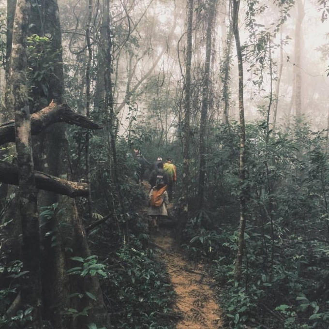 Đoàn công tác kiểm tra rừng tại bản Đoòng.