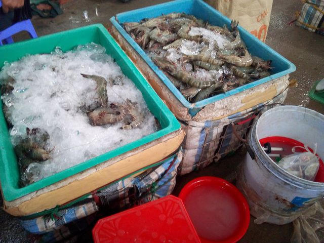 Sở NN&amp;PTNT bắt một điểm tôm bơm tạp chất trên địa bàn tỉnh Bạc Liêu.