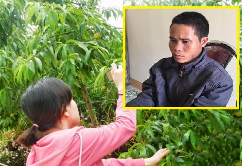 Nghi can Toản (ảnh nhỏ) dụ cháu bé hàng xóm (5 tuổi) vào vườn mận rồi hiếp dâm. (Ảnh: VTC New)