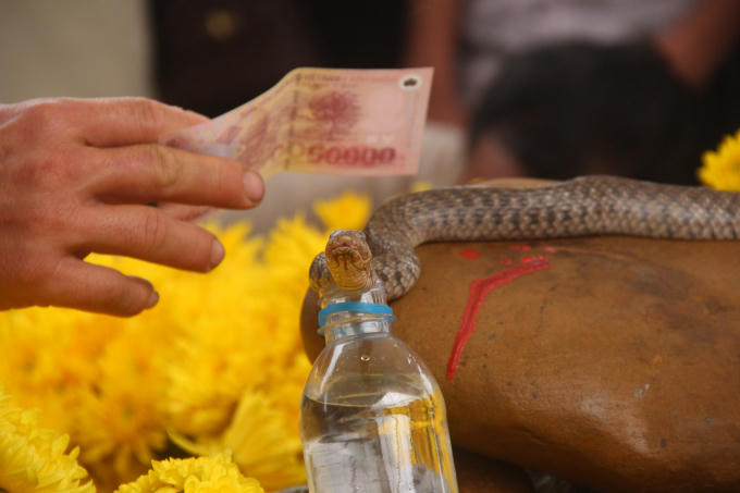 Con rắn nước được xem là "rắn thần" đã bị lực lượng chức năng thu giữ.