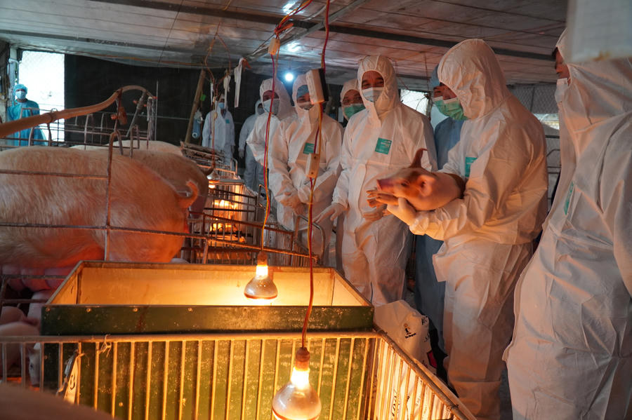 anh: bo truong nn&amp;amp;ptnt tham trai