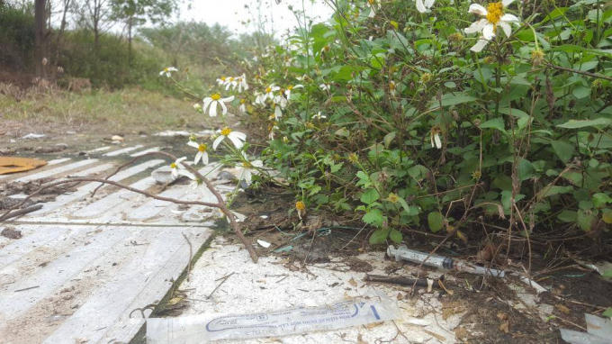 Thậm chí, trong công trường còn có cả bơm kim tiêm. Theo mốt số người dân, bơm kim tiêm này do các đối tượng hút chích lợi dụng công trường vắng người vào để hút chích