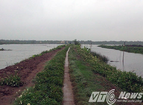 Con đường này mới cách đây cỏ dại còn mọc um tùm, giờ đã được cải tạo, dâng lập, xe ô tô chạy xuống tận đầm - Ảnh MK
