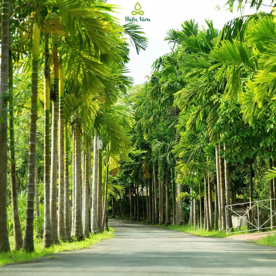 Không gian xanh tại Khu du lịch Thiền Tâm