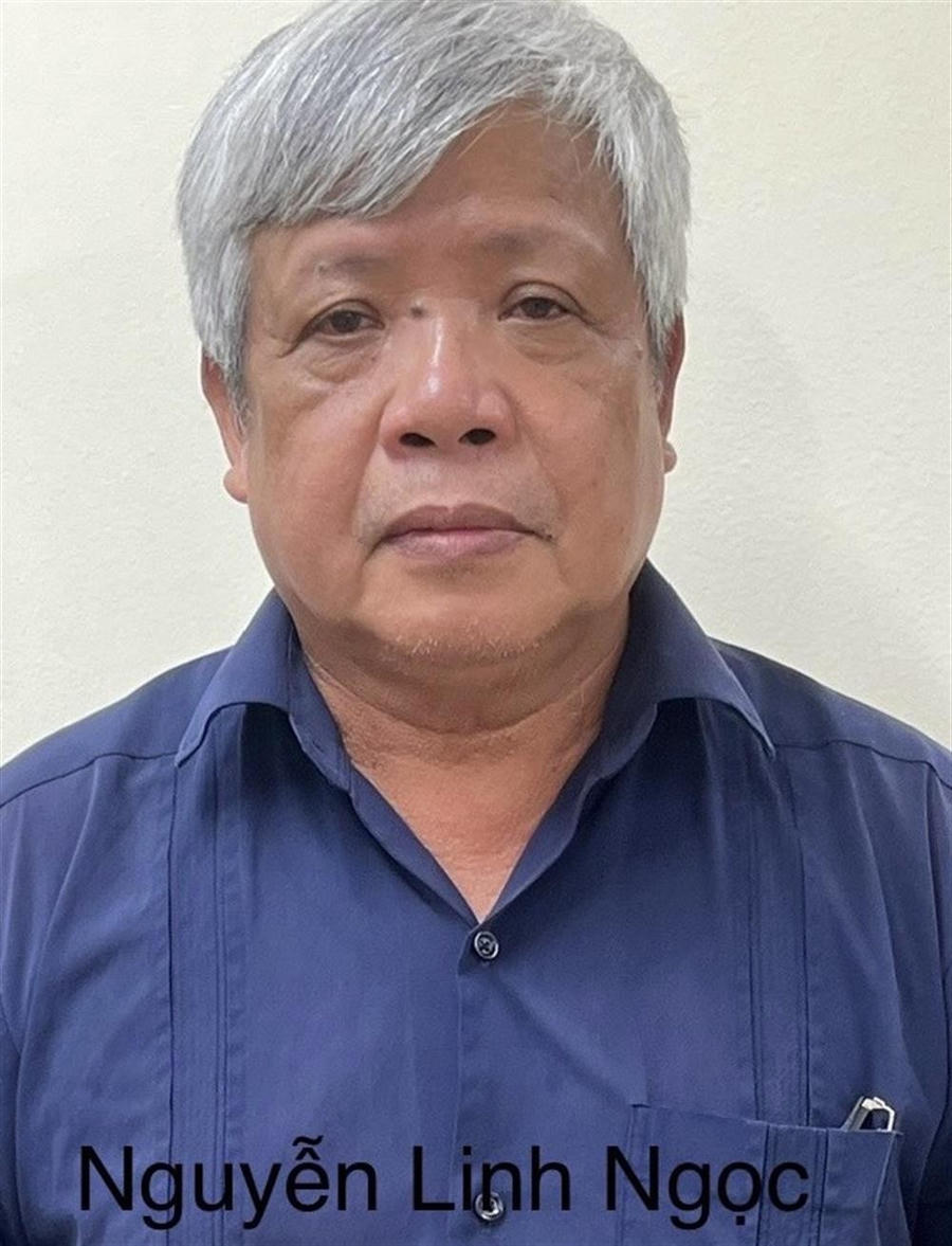 Bị can Nguyễn Linh Ngọc. (Ảnh: Bộ Công an).