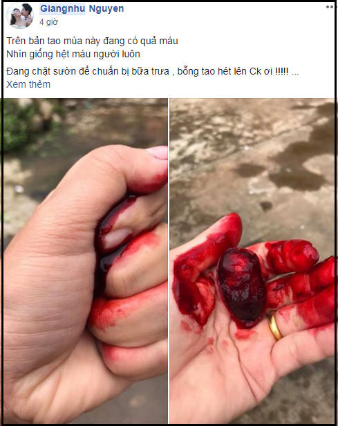 (Ảnh chụp màn hình)