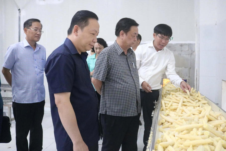 Phó Chủ tịch Quốc hội Lê Minh Hoan (hàng đầu bên phải) cùng đoàn công tác đến thăm Nhà máy chế biến Mỹ An – một trong bốn nhà máy được đầu tư dây chuyền sản xuất hiện đại của Antesco, góp phần nâng cao giá trị nông sản Việt trên thị trường xuất khẩu