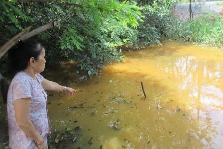 Một ao nước bị ô nhiễm nặng do ảnh hưởng từ bãi rác Đa Phước.