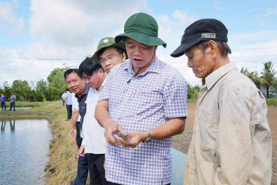 Ông Huỳnh Quốc Việt - Phó Bí thư Thường trực Tỉnh ủy Bạc Liêu, cũng lãnh đạo Sở, ngành, địa phương thăm mô hình luân canh lúa - tôm của hộ dân Nguyễn Việt Hồng (xã Phong Thạnh A, thị xã Giá Rai), giúp nông dân nâng cao thu nhập.