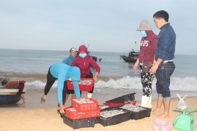 Chuyến biển đầu năm của ngư dân vùng bãi ngang Nhân Trạch đã trúng lớn.