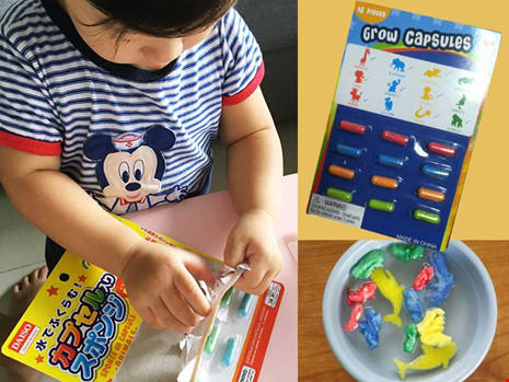 Các “viên thuốc thần kỳ” sau khi ngâm nước sẽ nở ra hình các con thú rất ngộ nghĩnh. Ảnh: HP