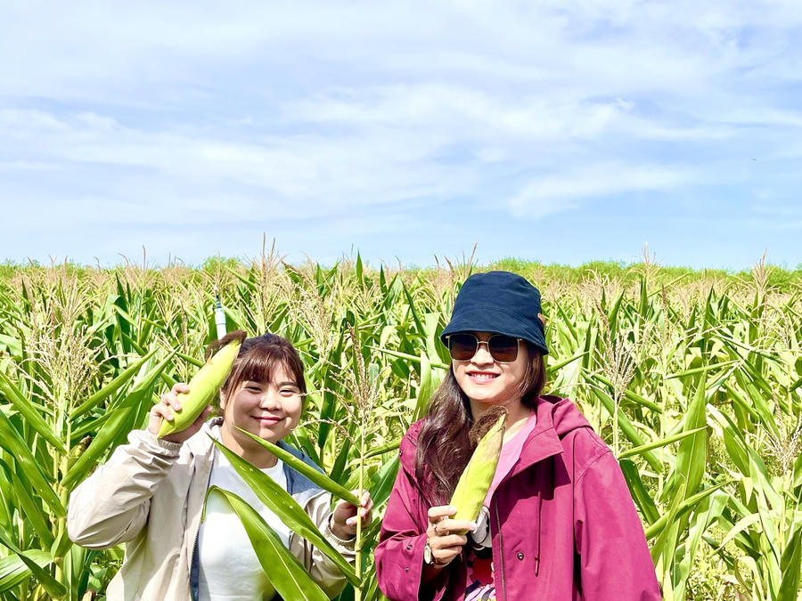 Du lịch nông nghiệp sẽ giúp cho du khách “tập làm nông dân”. Đây là loại hình du lịch đã xuất hiện từ rất sớm, đến nay được xem là sản phẩm du lịch xanh và bền vững.