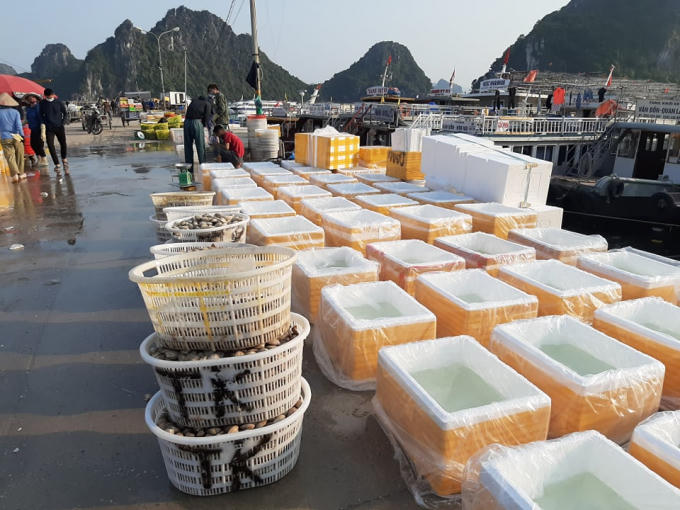 152978663_370596324007189_4325254231187685016_n