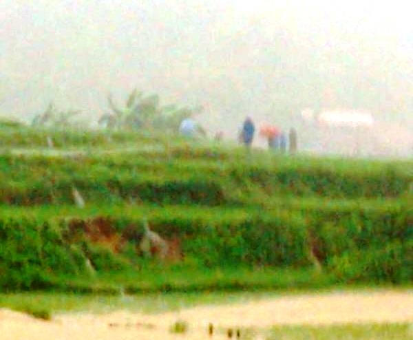 Khu vực xảy ra sự việc.