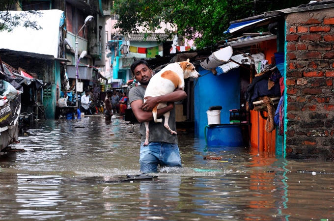 7. Lực lượng quân dội và Hải quân Ấn Độ đã tham gi