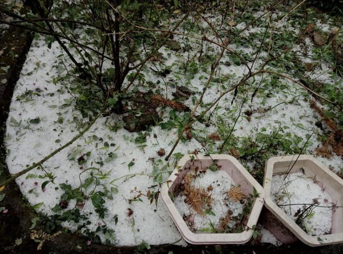 Mưa đá phủ kín huyện Mèo Vạc.