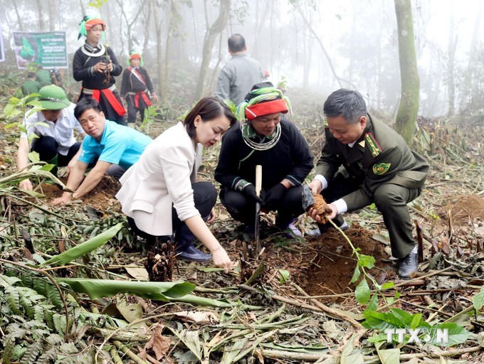 Hỗ trợ kinh phí phát triển sinh kế, cải thiện đời sống người dân vùng đệm các khu rừng đặc dụng. (Ảnh minh họa: TTXVN)