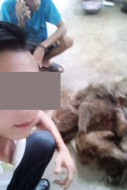Vụ việc được phát giác bởi một nam thanh niên khoe ảnh giết khỉ trên facebook.