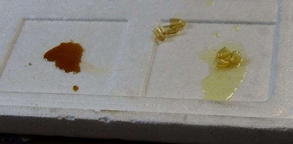 Dầu cá mà gia đình ông Khải sử dụng không hề "ăn mòn" thùng xốp