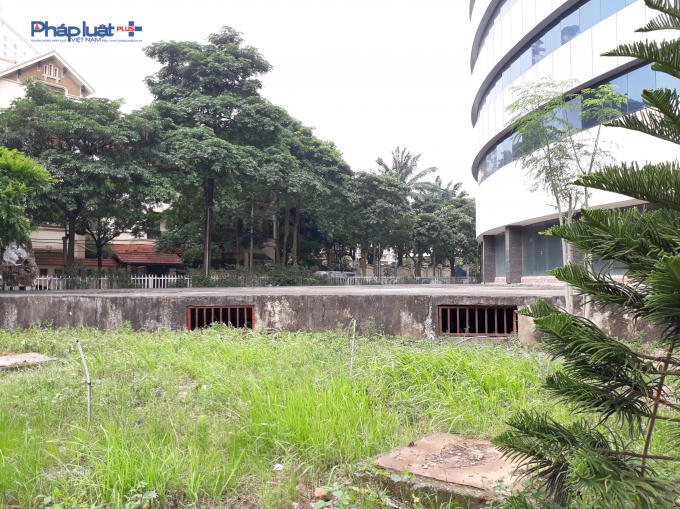 Cỏ dại mọc xung quanh dự án.