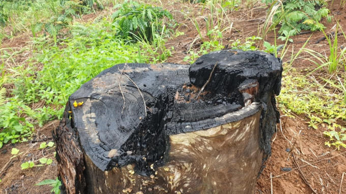 118541506_663558487594757_7106241440177421749_n