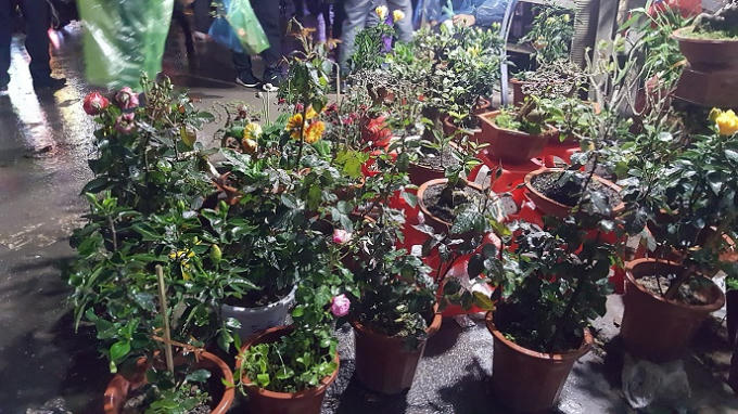 Chợ Viềng xu&acirc;n 2018 trước giờ khai Lễ