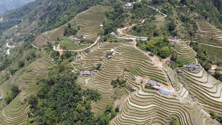 Không chỉ sở hữu vẻ đẹp của Cao nguyên đá, Hà Giang còn có ruộng bậc thang hút hồn khách du lịch. (Ảnh: P. Họ).