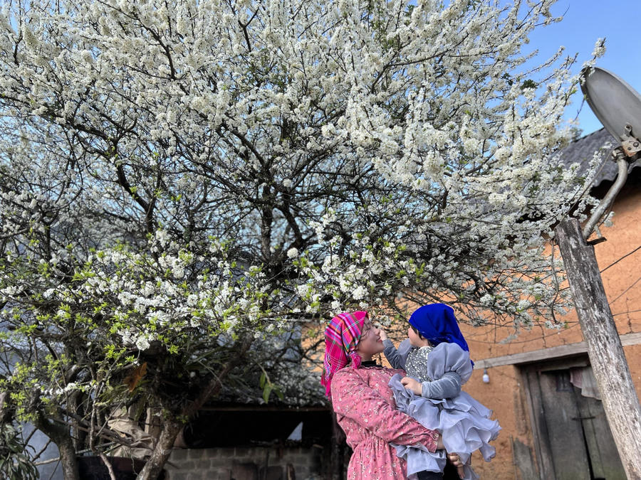 z5181786105987_eceeeef784baf1cdc3e145b8f0d2ddcb