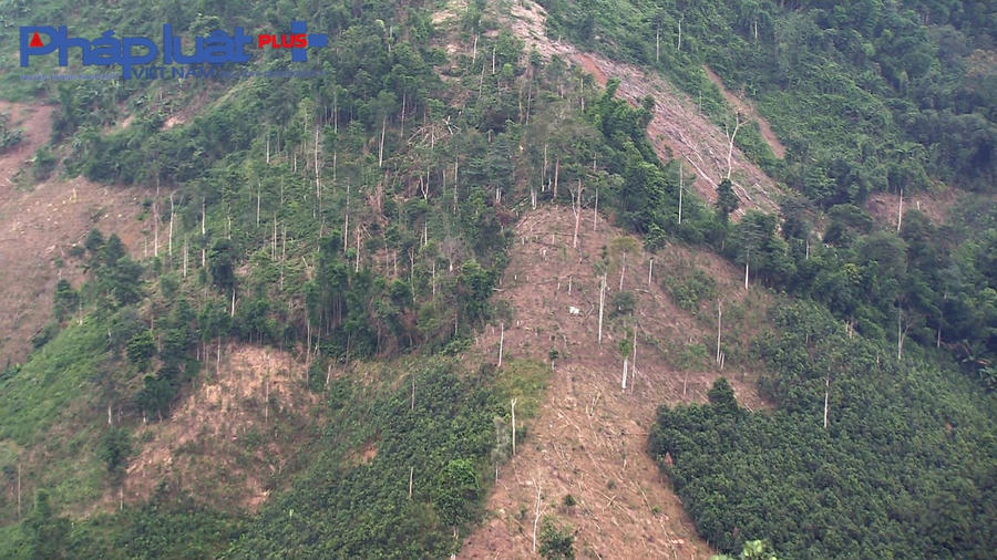 z3900247994959_240f21dfec1c052dd508a9aa960d0c5b-0809