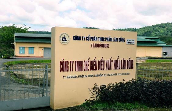Công ty Tinh chế biến điều xuất khẩu Lâm Đồng.