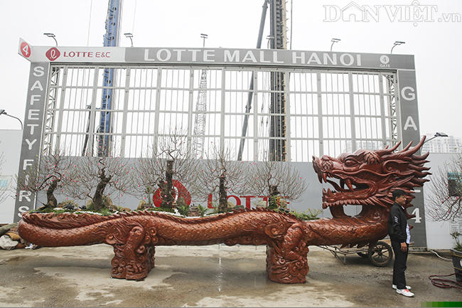 chau dao “sieu khung” cho thue gia 700 trieu dong co gi dac biet? hinh anh 1