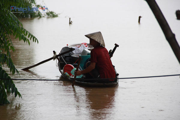 Ngập lụt vùng hạ lưu sông Mã, sông Chu đã khiến nhiều gia đình phải sống cảnh màn trời, chiếu đất.