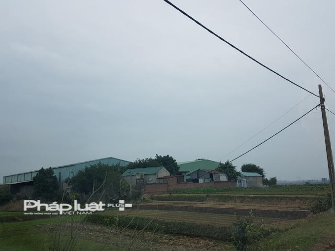 Công ty Quỳnh Giang liều lĩnh xây dựng hàng ngàn m2 nhà xưởng trên đất nông nghiệp mà không bị UBND huyện Yên Phong chỉ đạo xử lý? Ảnh Vũ Quang.