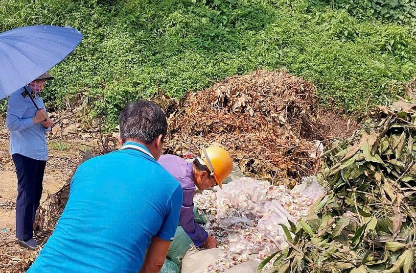 Lô hàng không rõ nguồn gốc được tập kết và tiêu hủy. (Ảnh: Báo Lào Cai).