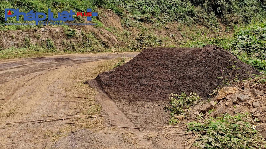 z4865919232635_9b4b614795515bd7a603b0fbea94b7eb