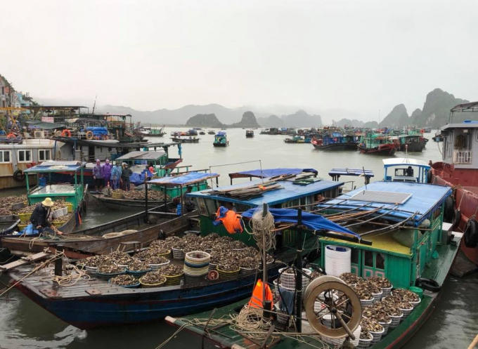 Người dân Vân Đồn muốn có cơ hội phát triển nhưng vẫn bảo đảm được sự ổn định.