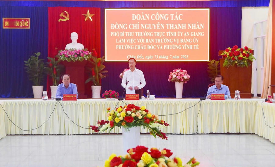 Đồng chí Nguyễn Thanh Nhàn phát biểu tại buổi làm việc.