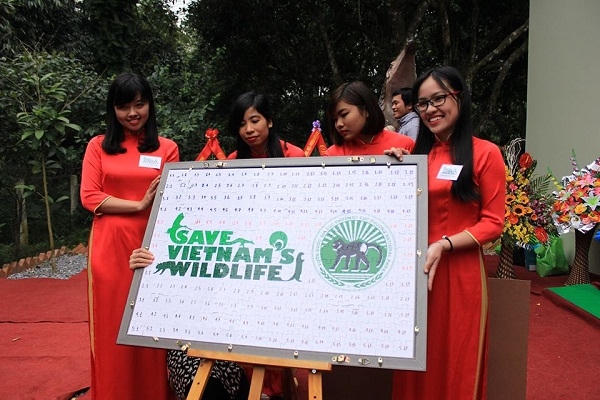 Hoạt động bảo vệ Tê tê.
